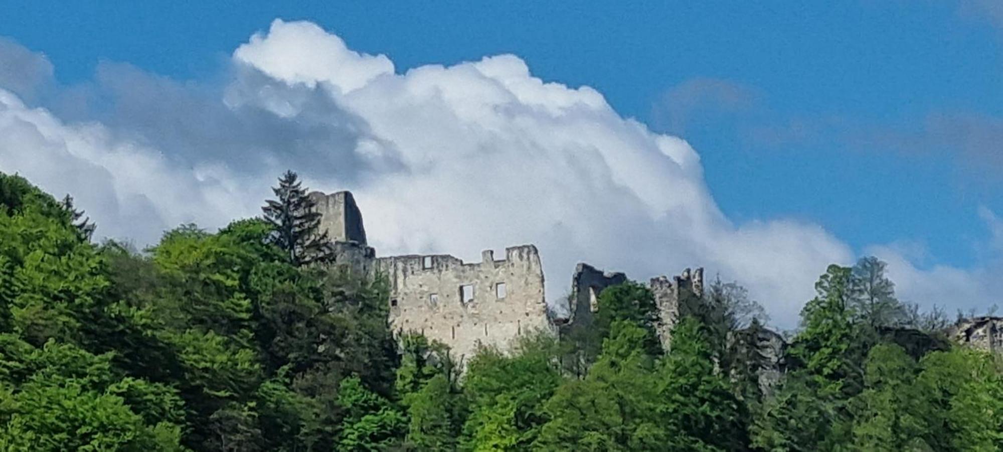 Studio Apartment Old Town Castle Samobor Exterior foto